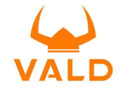 VALD logo