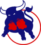 Birmingham Bulls Hockey