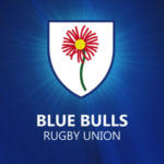 bluebulls